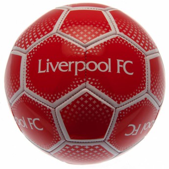 FC Liverpool nogometna lopta Football DM
