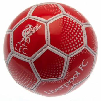 FC Liverpool nogometna lopta Football DM