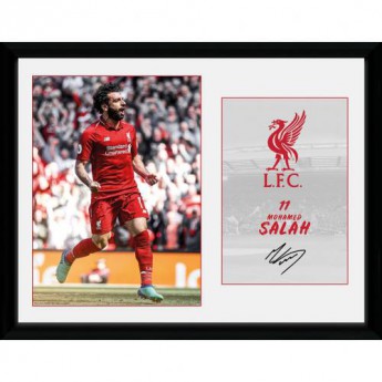 FC Liverpool slika u okviru 11Salah 16 x 12