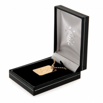 FC Rangers ogrlica s identifikacijskom pločicom za psa Gold Plated Dog Tag & Chain