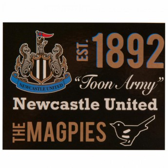 Newcastle United deka od flisa Fleece Blanket