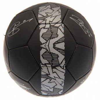 Tottenham Hotspur nogometna lopta Football Signature PH - size 5