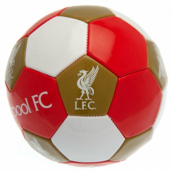 FC Liverpool nogometna lopta Football - size 3